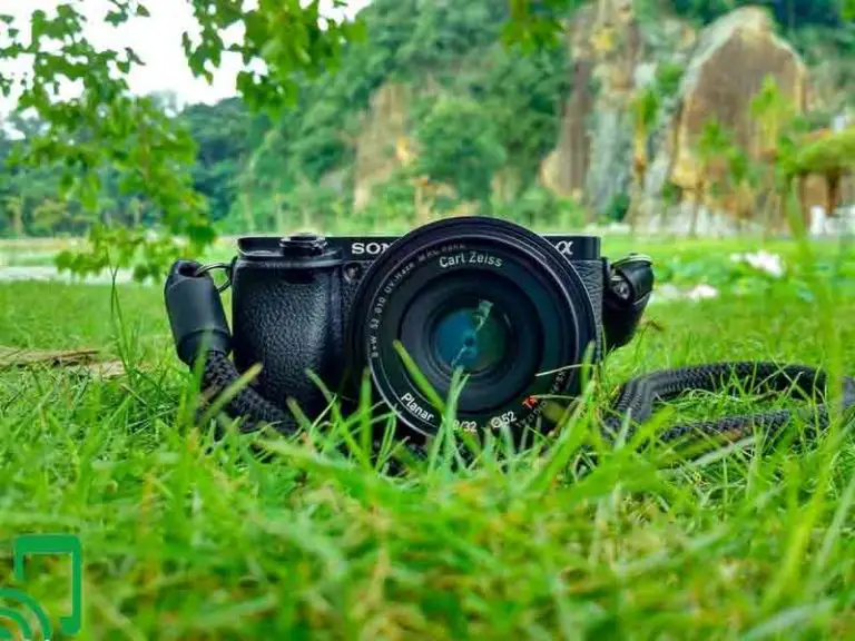 The 7 Best Mirrorless Camera Under $1000 Reviews