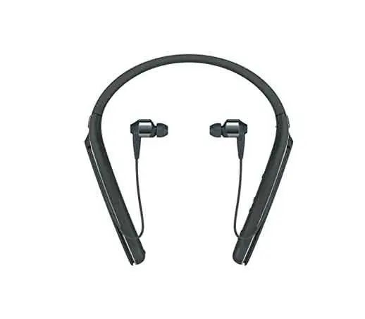  Sony Premium In-ear headphones