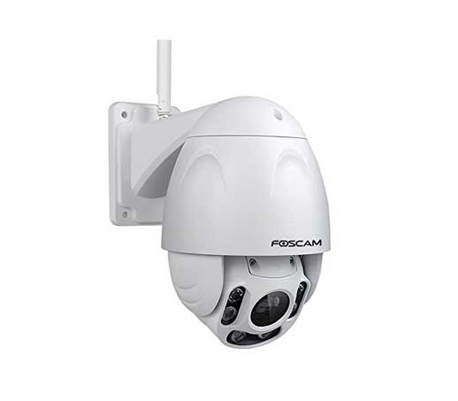 Foscam F19928P