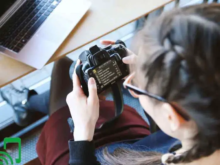 The 7 Best Point and Shoot Camera Under 200