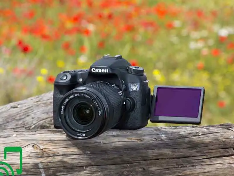 Canon Cameras with Flip Screen